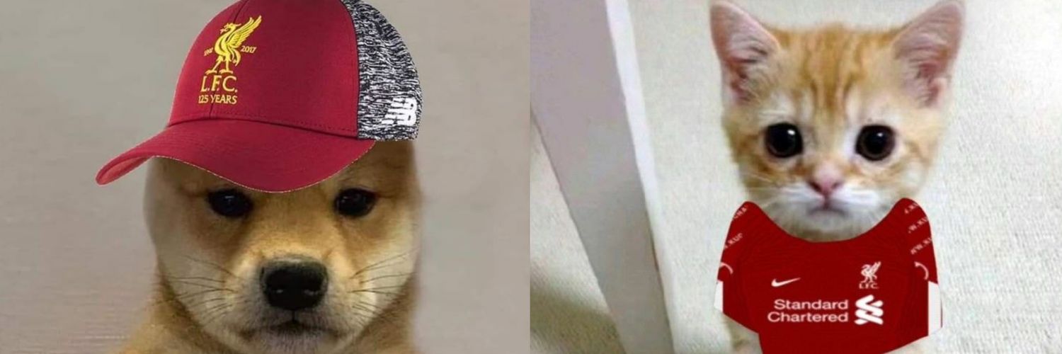 nr🌕going ✈️ club icarus🪽 banner