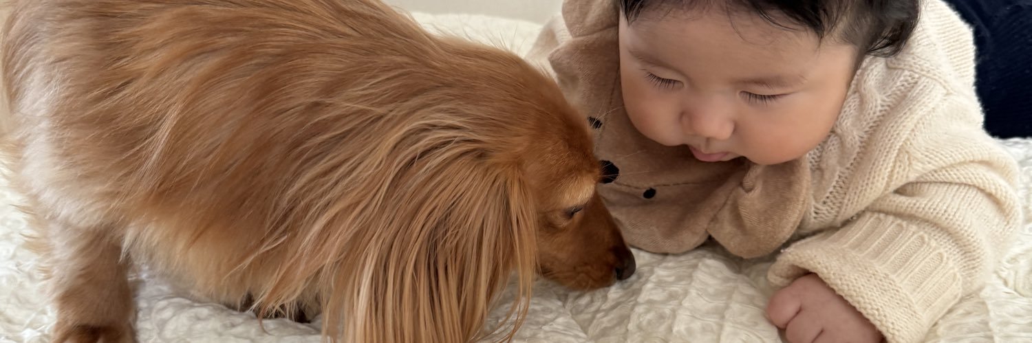 tanhiro0930's profile banner image