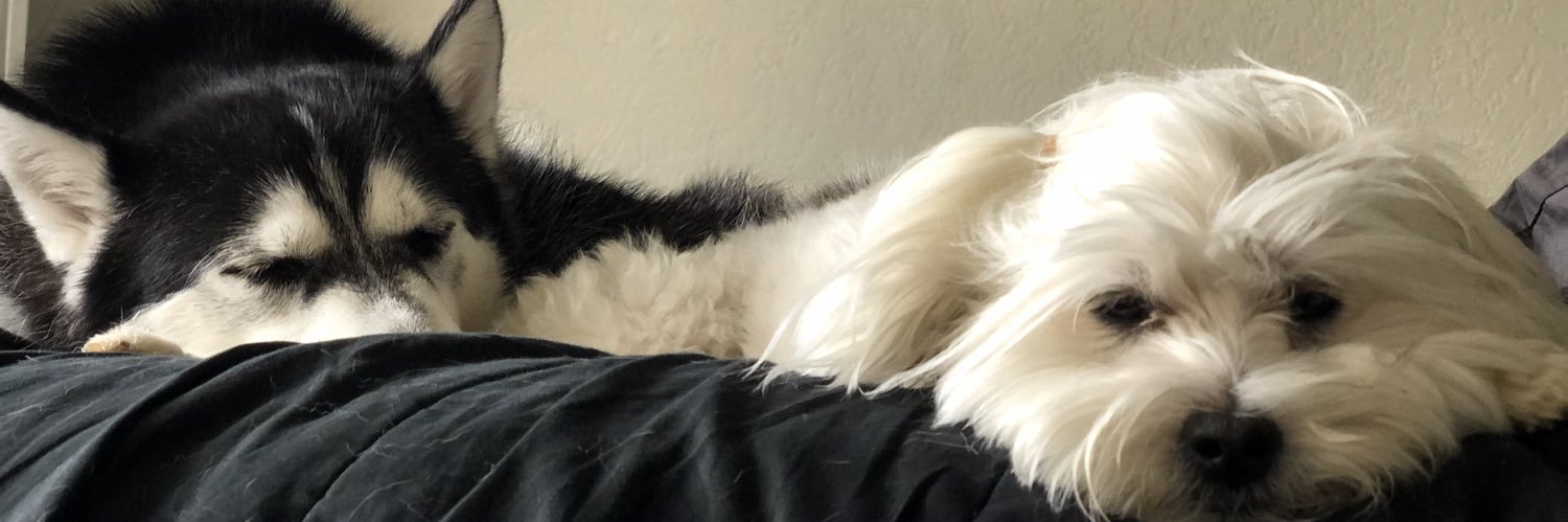 ChelseaScruton's profile banner image