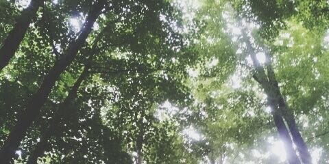 ashel421's profile banner image