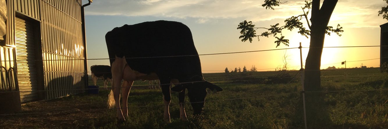megan_opp's profile banner image