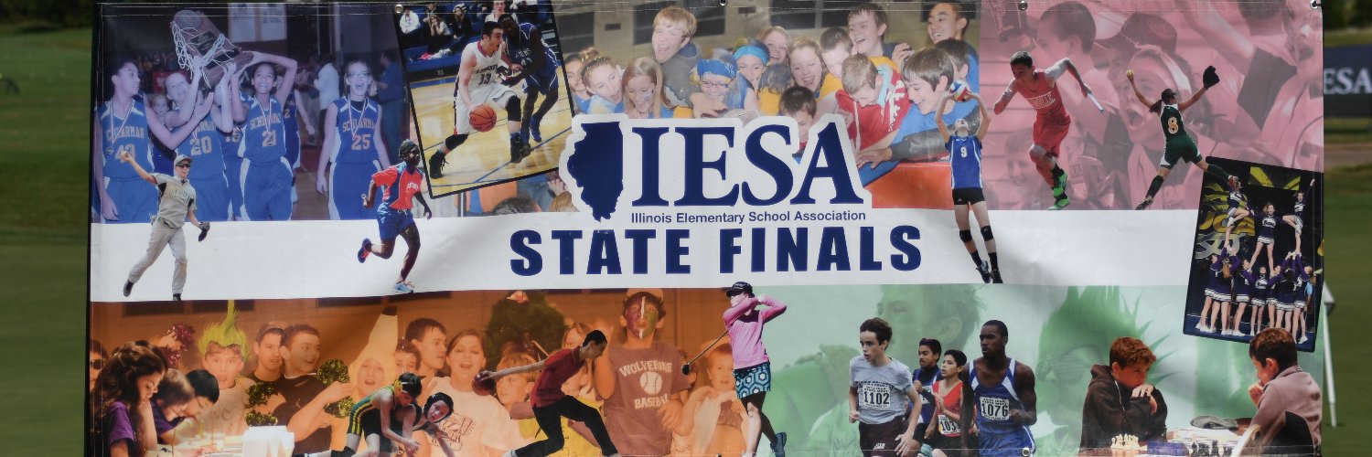 IESA banner