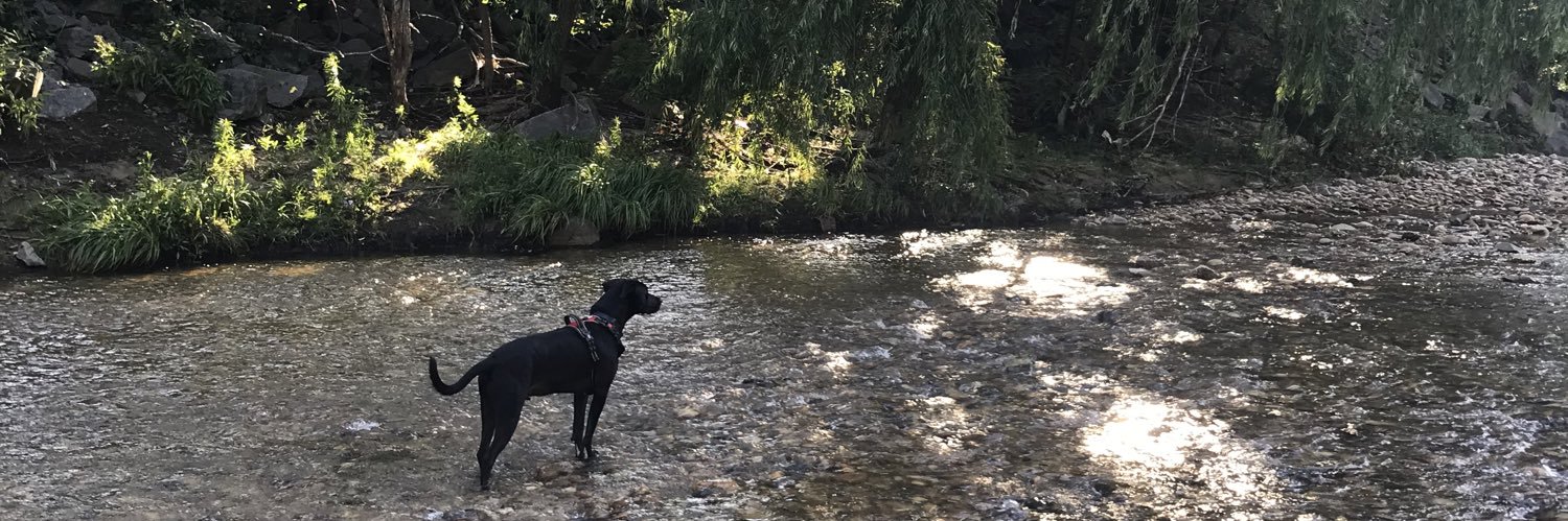 emilyskoven's profile banner image