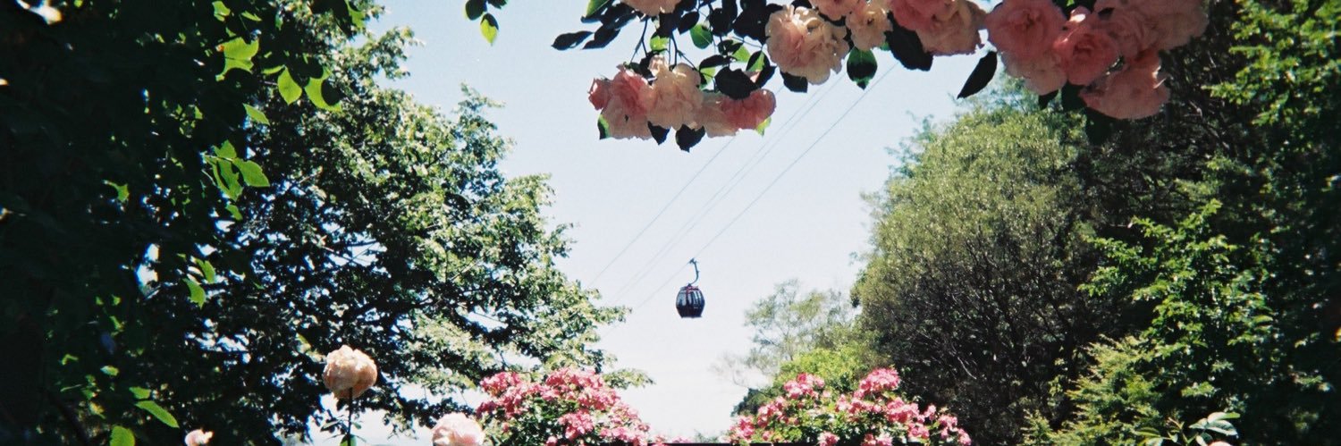 norishinee's profile banner image