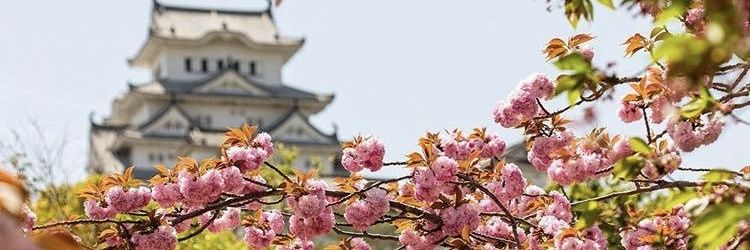Andiee_ms's profile banner image