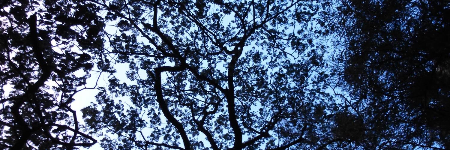 JinSree's profile banner image
