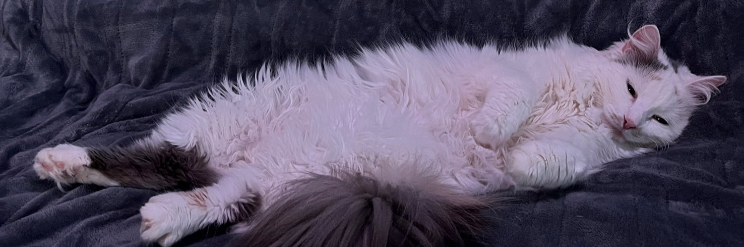 rileyysimmons's profile banner image
