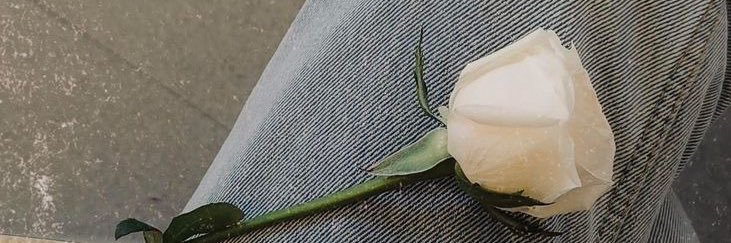 walticashTL's profile banner image