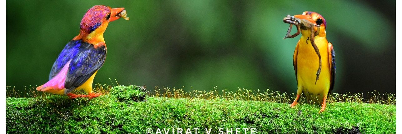 AviratShete's profile banner image