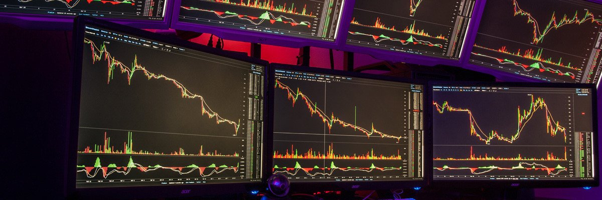 🏴‍☠️CryptoMTLWolf🏴‍☠️ banner