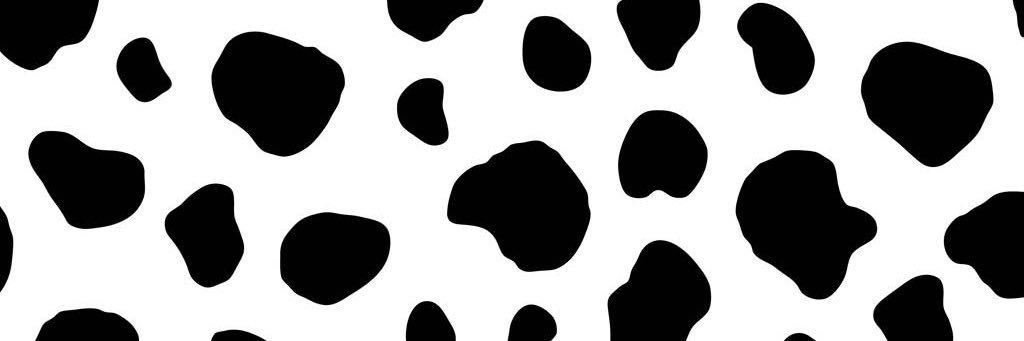 Texas Tech Panhellenic banner