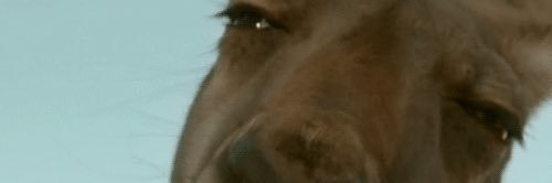 SkubbaSam_24's profile banner image