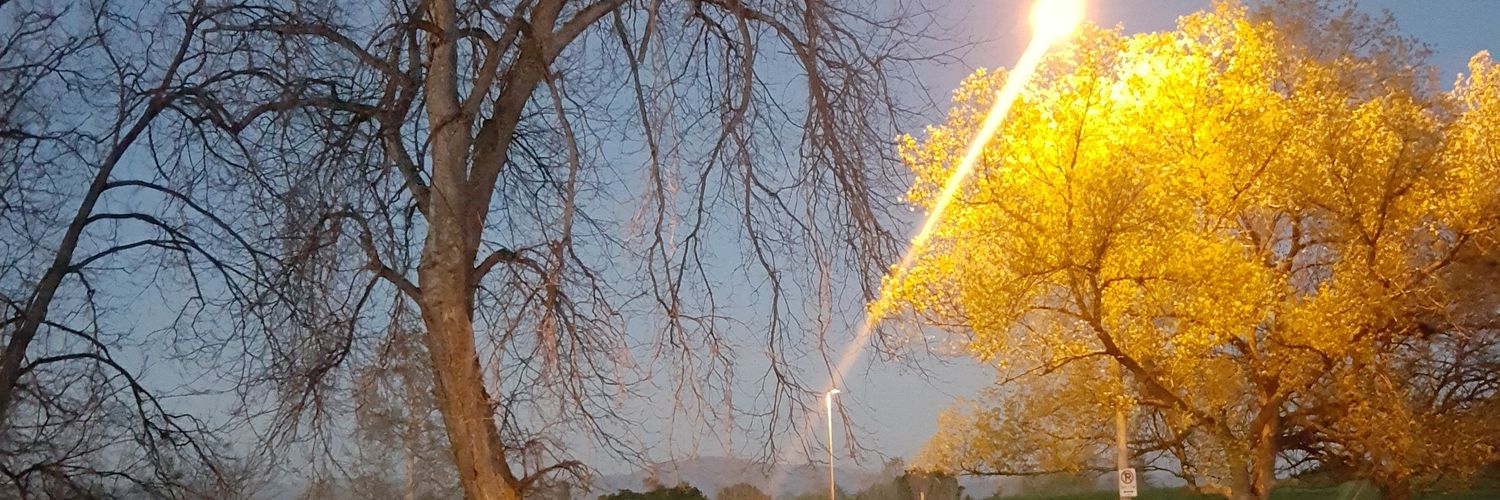 GarayEddy's profile banner image