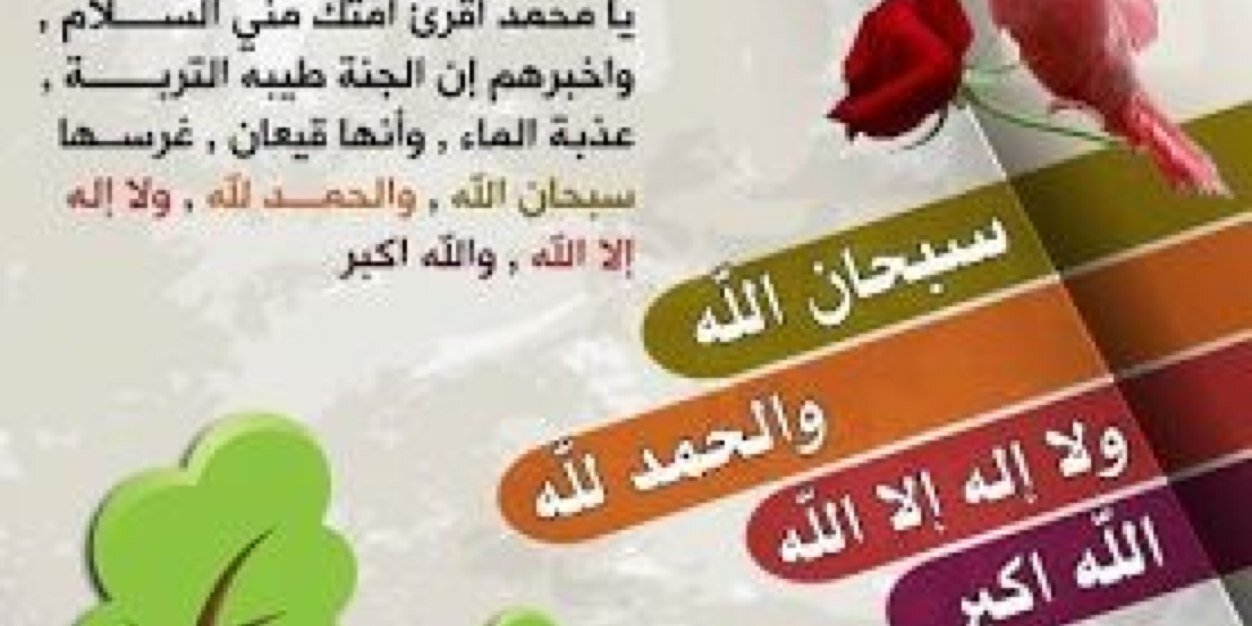 sham8081's profile banner image