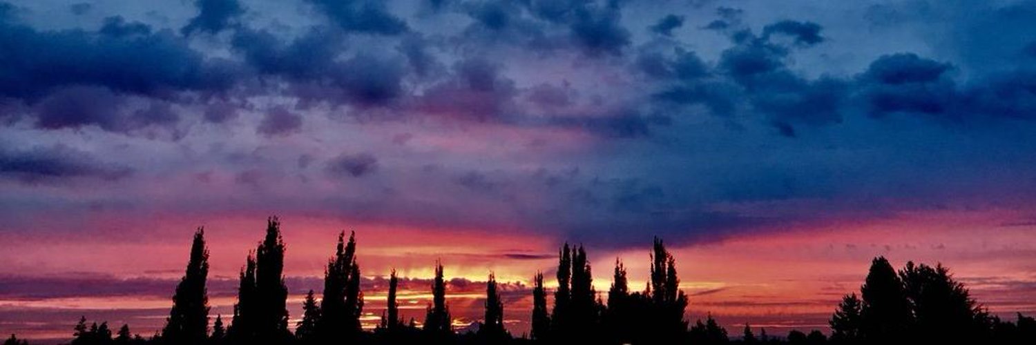 օɦ ռօ 🍀 banner