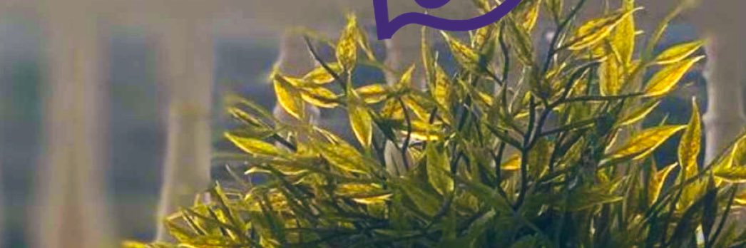 Passerby2016's profile banner image