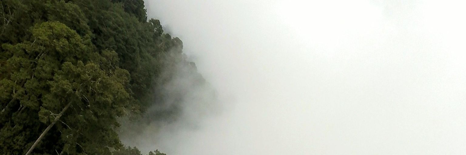 art_ar94's profile banner image
