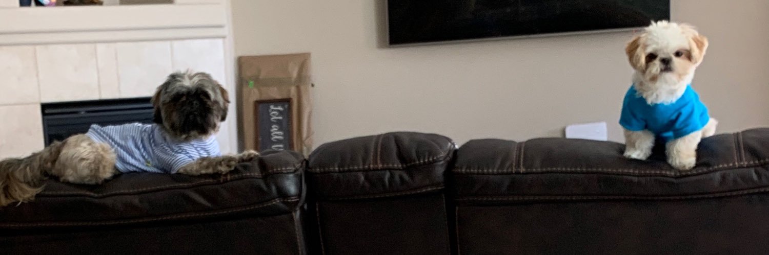 WyattSinger's profile banner image