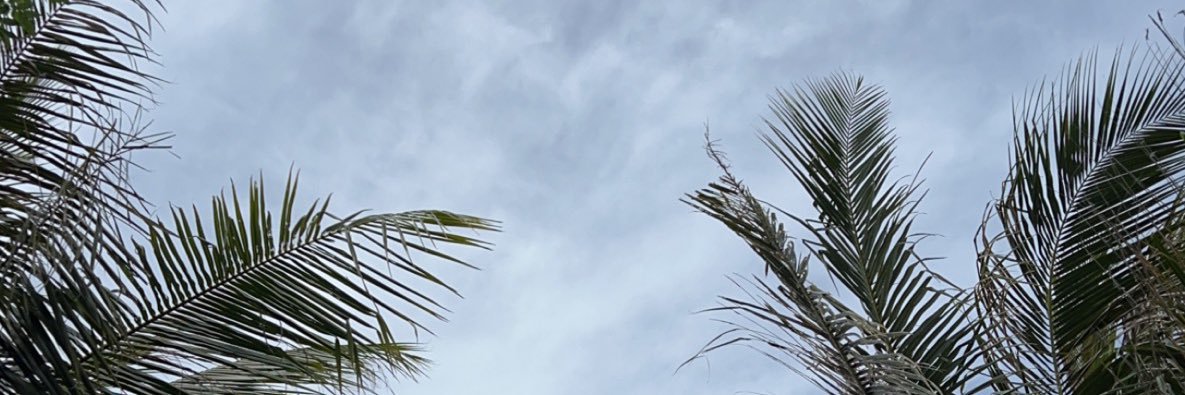 3weeshUAE's profile banner image