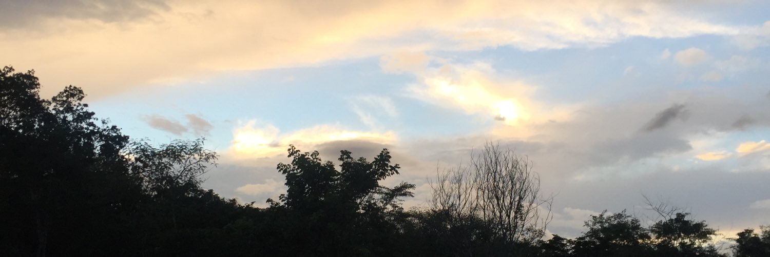marthapacheco_'s profile banner image