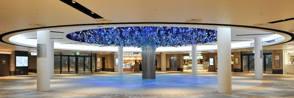 whityumeda Profile Banner