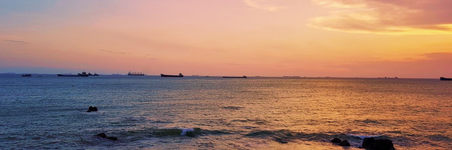 tahi_ari's profile banner image