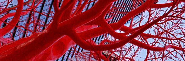 AdlerGuido Profile Banner