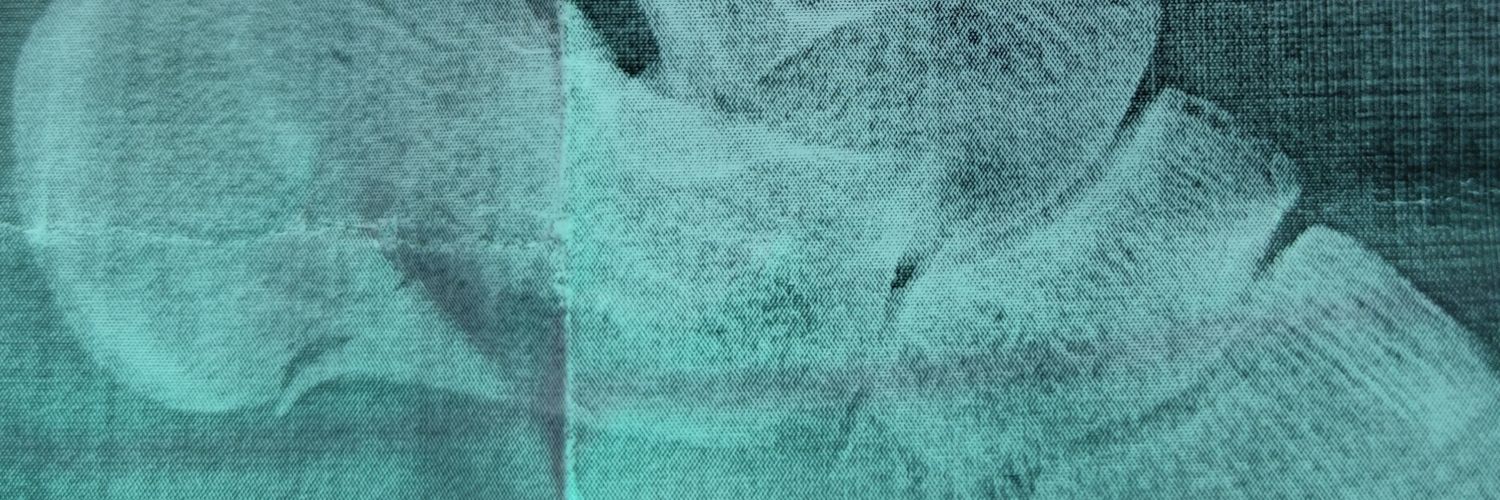 Go0sE789's profile banner image