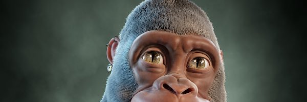 Flaviioo's profile banner image