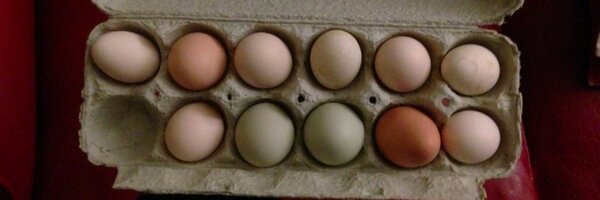 newm161 Profile Banner