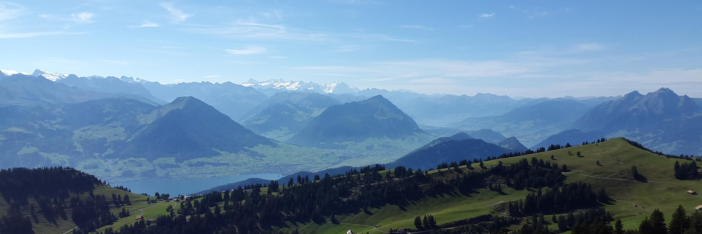 Peter Carlile banner