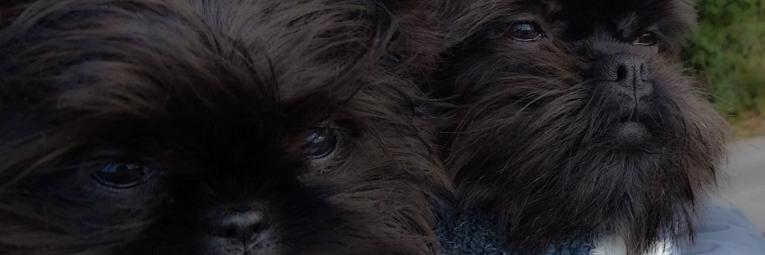 AffieFilms's profile banner image