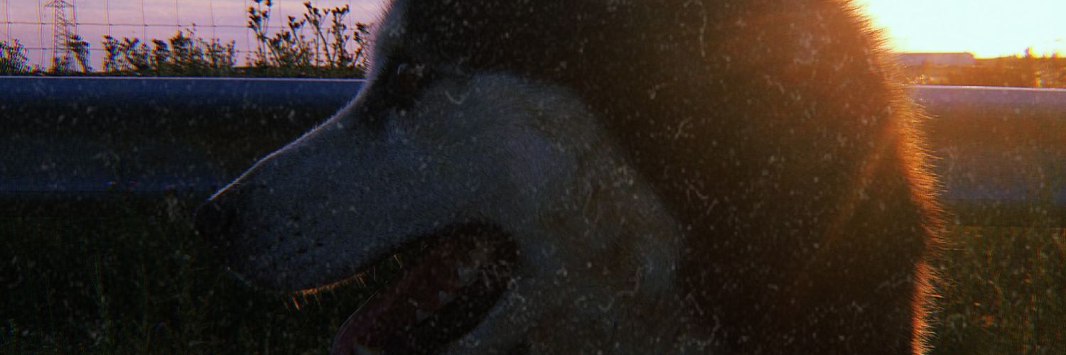 andreabastii's profile banner image