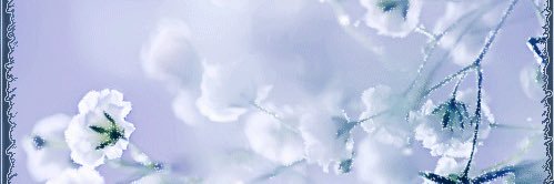 postamio's profile banner image
