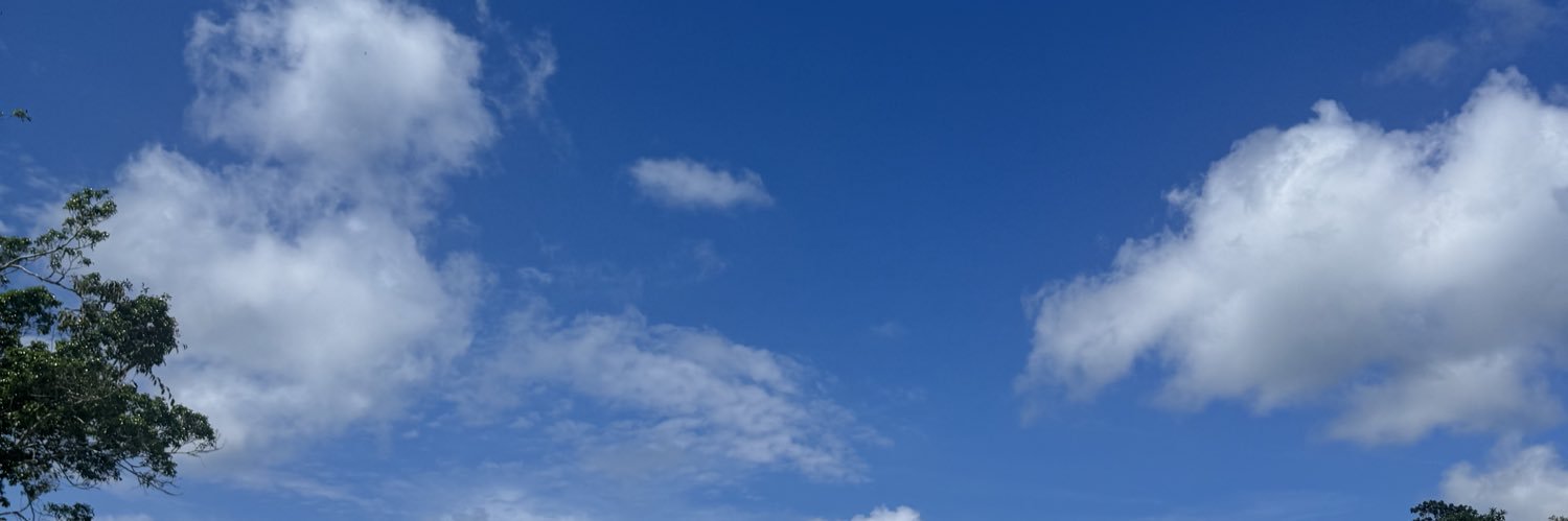 pattyelien's profile banner image