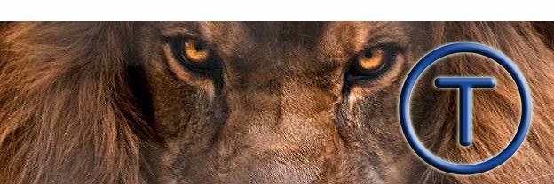 TomasConcha's profile banner image
