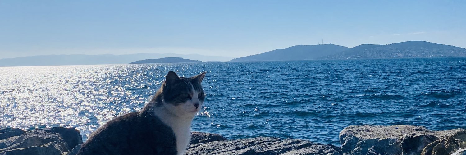pdkirmaz's profile banner image