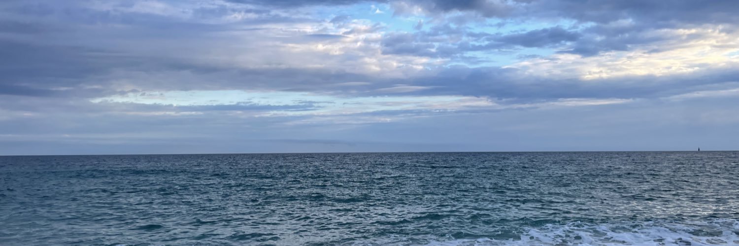 neus_bou's profile banner image