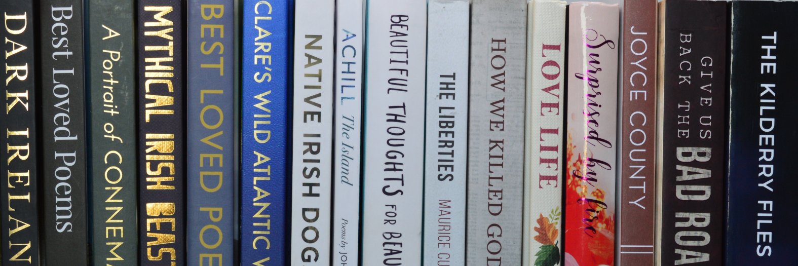 Currach Books banner