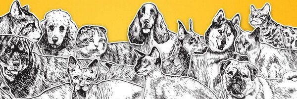 KabanMadan Profile Banner
