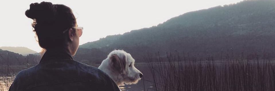 handedogan_'s profile banner image