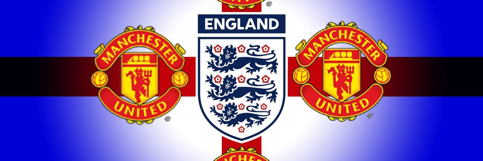 MALLY. D. BAINES banner