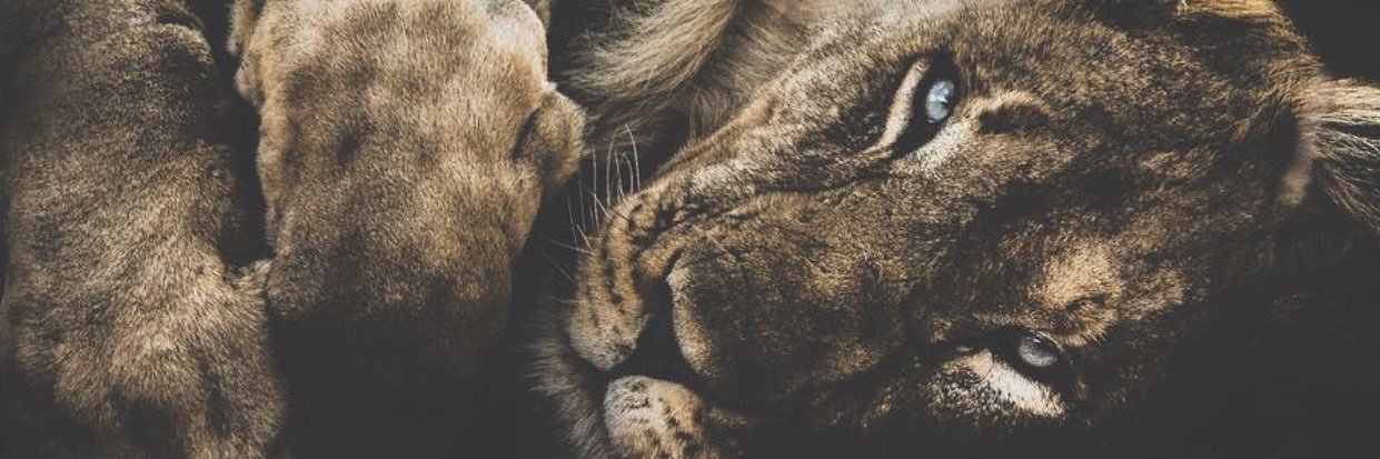 kelse03's profile banner image