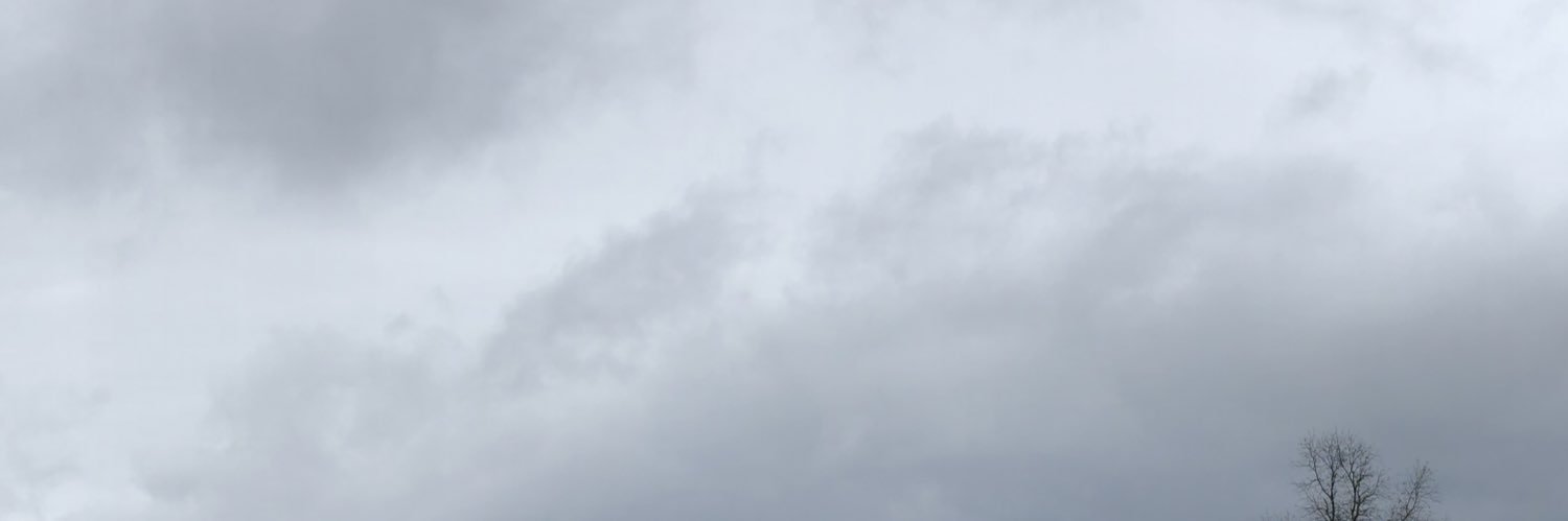 lowaya971's profile banner image