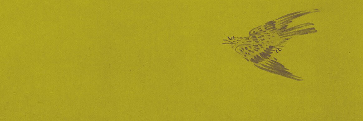 MarcioGrings's profile banner image