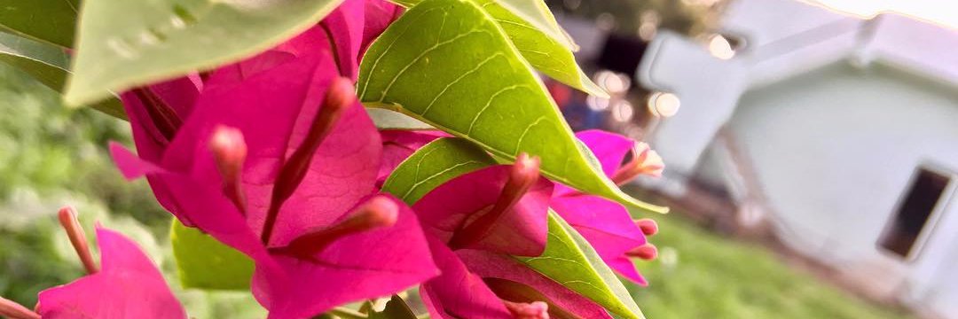 _harshal_k's profile banner image