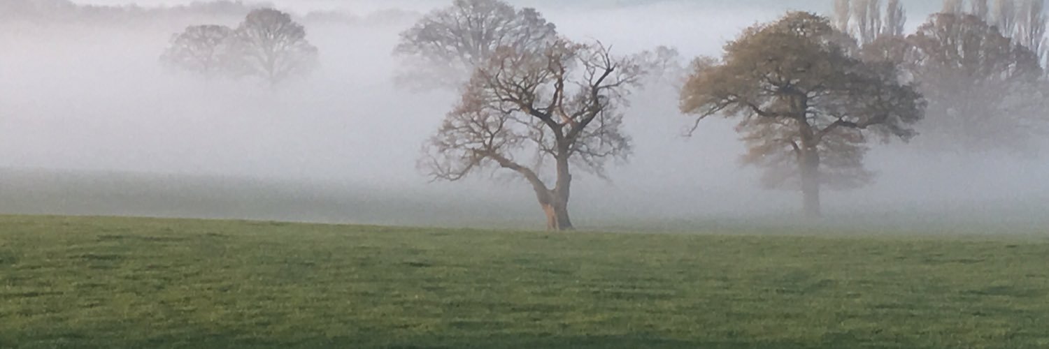 mikedb5's profile banner image