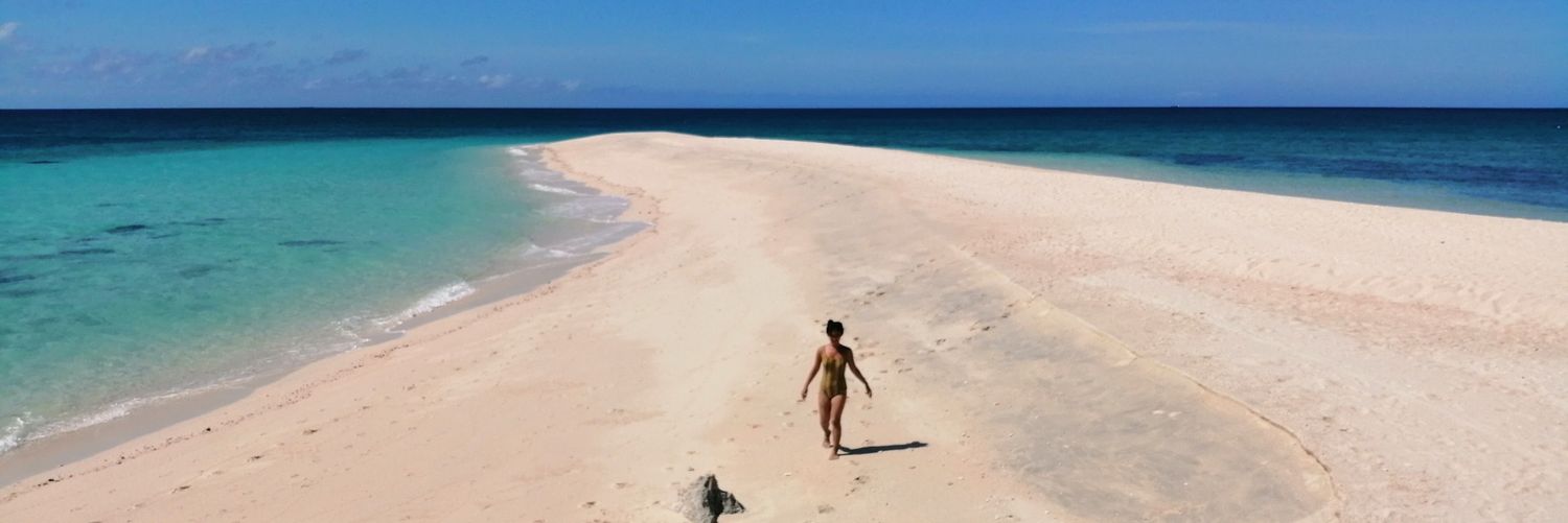 MarniBarney's profile banner image