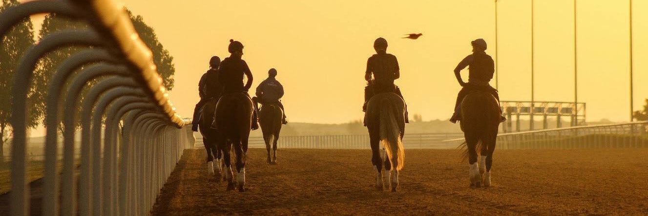 Jamie Piggott banner