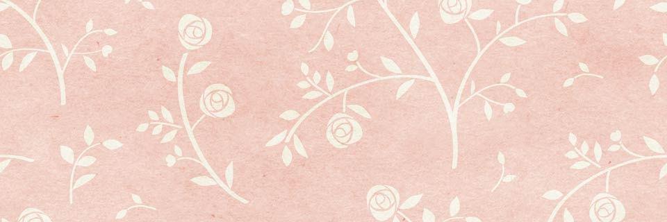 Virasalsa_'s profile banner image